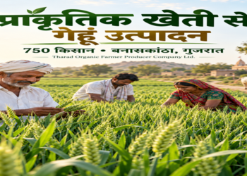 गुजरात