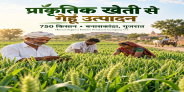 गुजरात