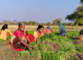 Indian Farming Families