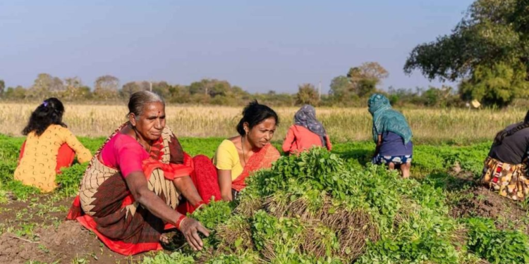 Indian Farming Families