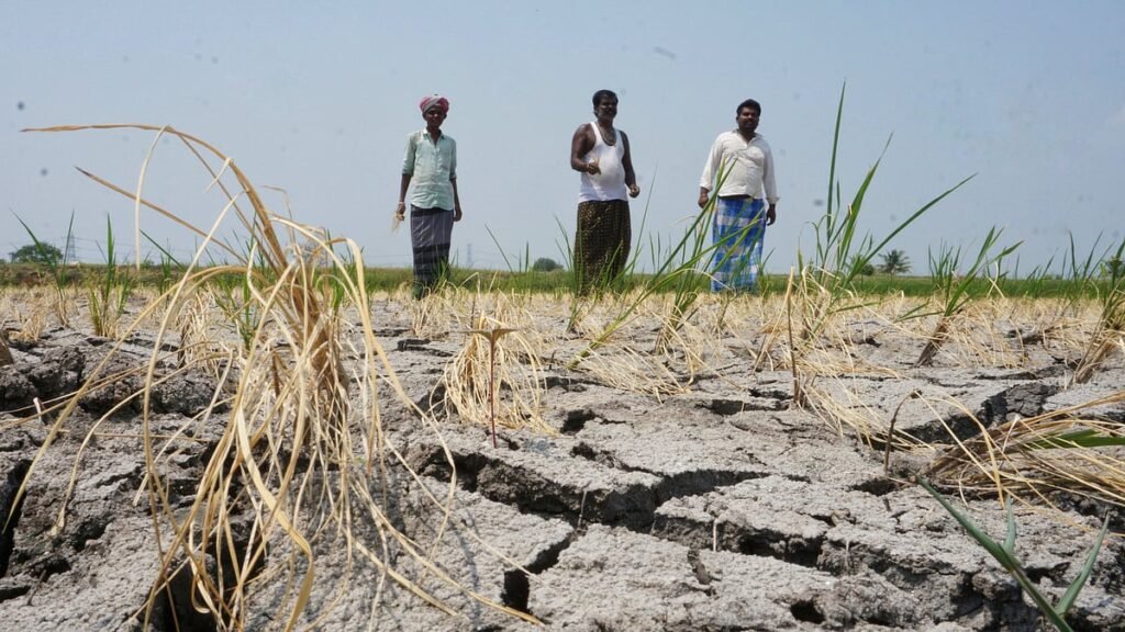 Karnataka Drought