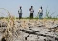Karnataka Drought