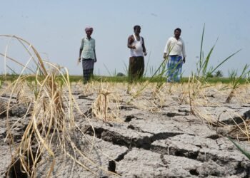 Karnataka Drought