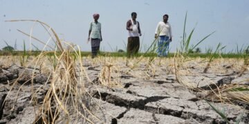 Karnataka Drought