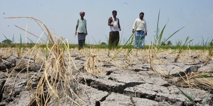 Karnataka Drought