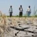 Karnataka Drought