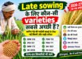 Late sowing