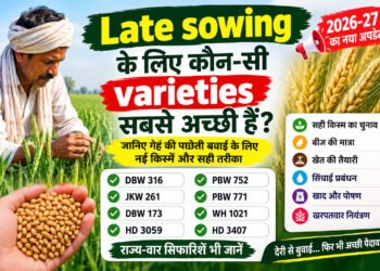 Late sowing