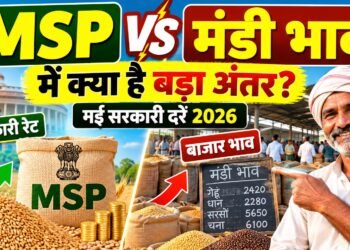 MSP New Rate 2026