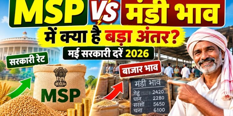 MSP New Rate 2026