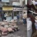 Maharashtra FDA Action