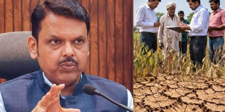 Maharashtra Farmer Relief