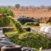 Maharashtra Fodder Farming Scheme
