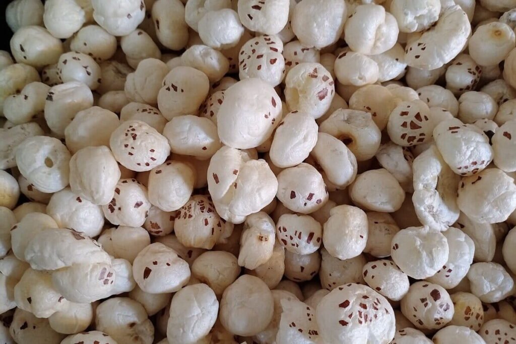 Bihar's Makhana reaches Greece from Purnia, a new export market opens for farmers