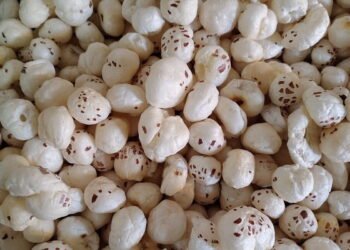 Bihar's Makhana reaches Greece from Purnia, a new export market opens for farmers
