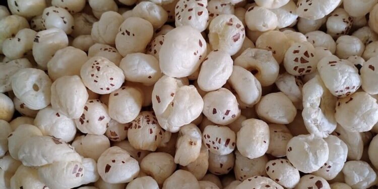 Bihar's Makhana reaches Greece from Purnia, a new export market opens for farmers