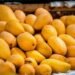 Mango Export Hub