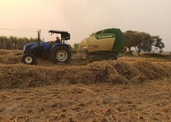 Paddy Straw to Bio CNG Business