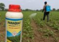 Paraquat Dichloride
