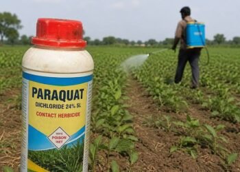 Paraquat Dichloride