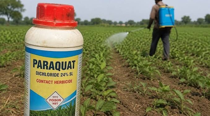 Paraquat Dichloride