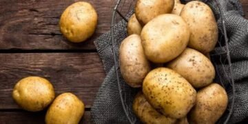 Potato Marketing