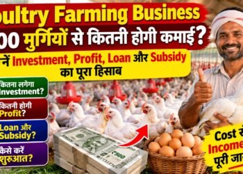 Poultry Farm Business