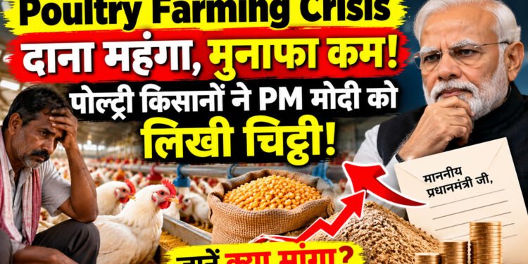 Poultry Farming