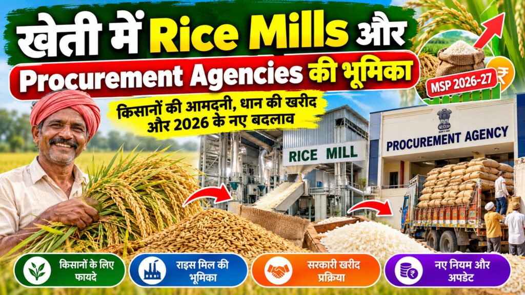 Rice Mills
