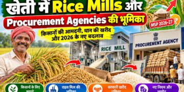 Rice Mills