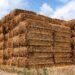 Rice Straw Biomass Business