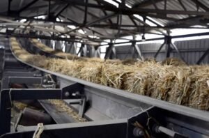 Rice Straw Biomass Business