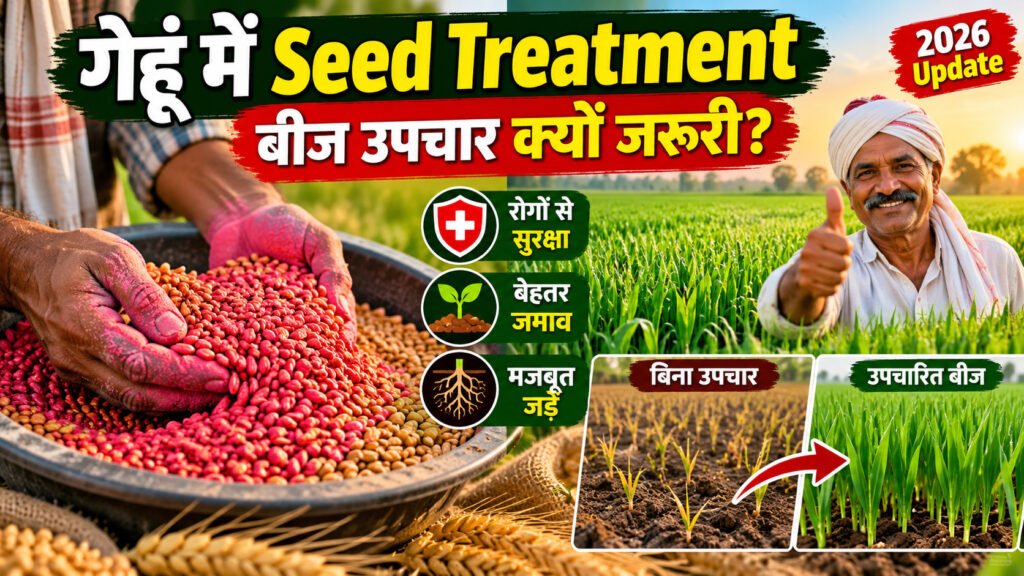Seed Treatment