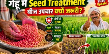 Seed Treatment