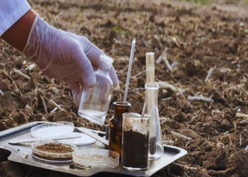 Soil Testing
