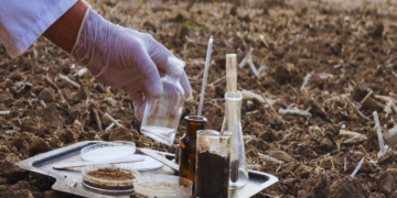 Soil Testing