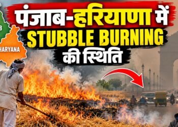 Stubble Burning