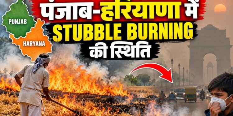 Stubble Burning