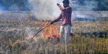 Stubble Management