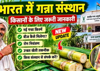 Sugarcane Research Institute