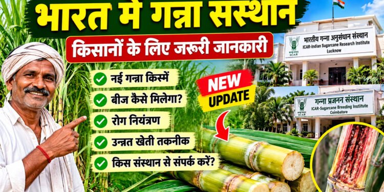 Sugarcane Research Institute