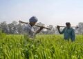 Top 5 Richest Farmers