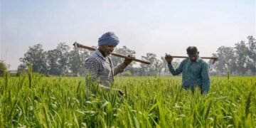 Top 5 Richest Farmers