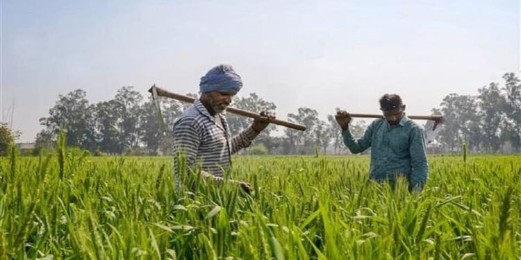Top 5 Richest Farmers