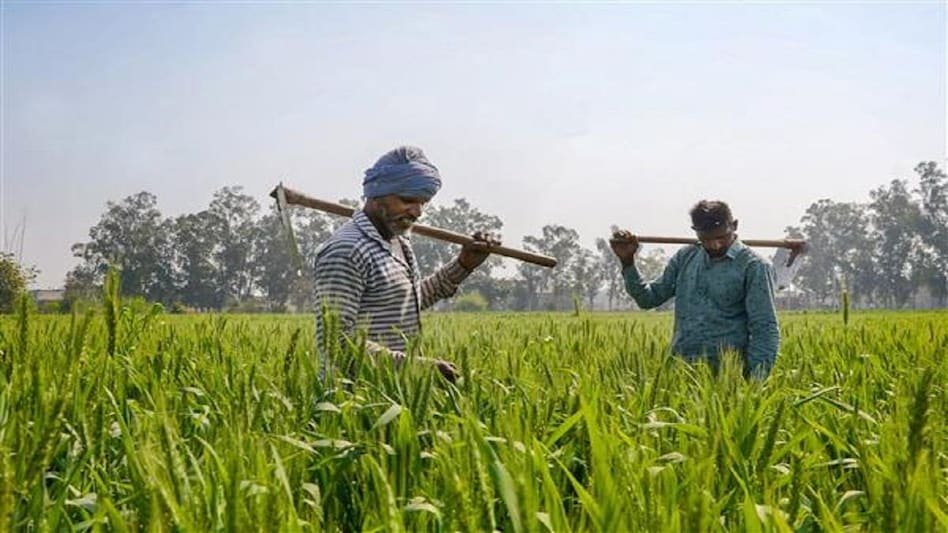 Top 5 Richest Farmers