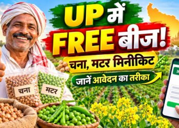 UP Free Seed Minikit