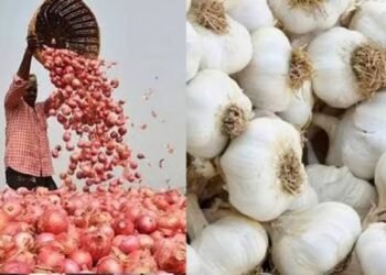 UP Garlic Onion Subsidy