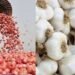 UP Garlic Onion Subsidy