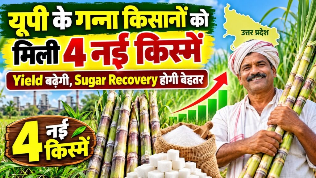 UP Sugarcane Farmers