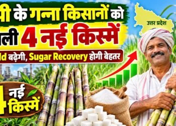 UP Sugarcane Farmers